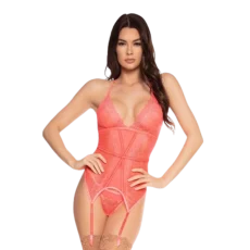 Mesh & Lace Garter Bustier Set