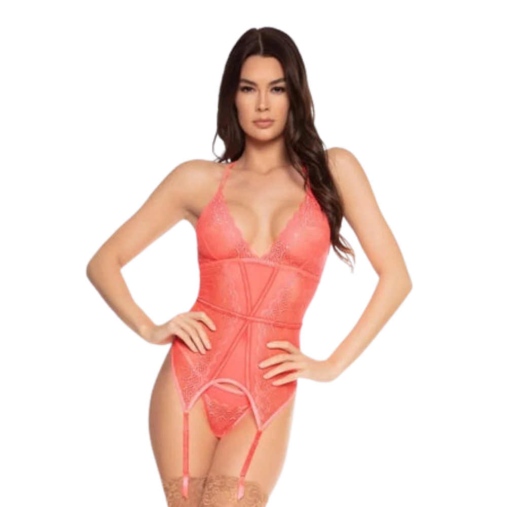 Mesh & Lace Garter Bustier Set